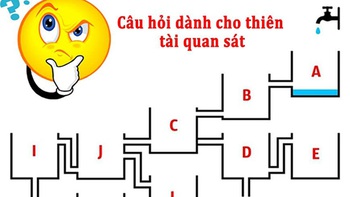 Người IQ cao mới đoán đúng bình nào đầy nước đầu tiên?