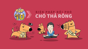 10 biện pháp 'kịch độc' đối phó chó thả rông