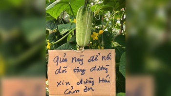Ảnh vui 29-4: Gia chủ năn nỉ đừng hái quả dưa leo 'nối dõi tông đường'