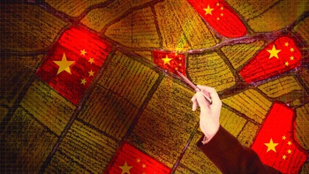 Trung Quốc và nỗi lo an ninh lương thực