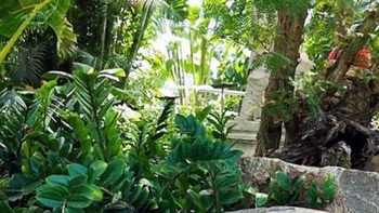 Thử thách tìm con bướm ẩn mình trong vườn hạ gục nhiều người