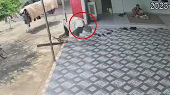 Chàng trai vấp võng ngã sấp mặt
