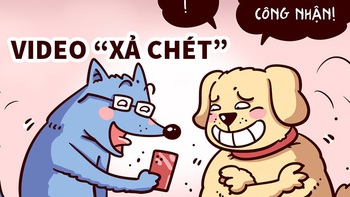 Thực hư chuyện chó 'xả chét' bằng video