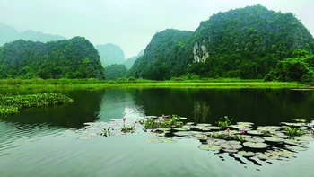 Mùa thu dừng lại ở Long Biên (*)