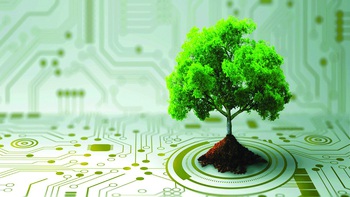 Trung hòa carbon: Cắt giảm đi, đừng "bù đắp" mãi
