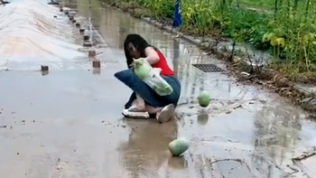 Cô gái hái dưa hấu liên tục 'vồ ếch' trên đường đất trơn trượt
