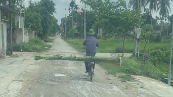 Tài xế ô tô bất lực khi gặp 'người vận chuyển' chở cây chuối