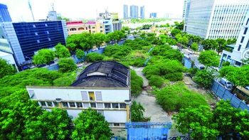 TP.HCM cần có quyền tự chủ định đoạt nhà, đất công