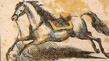 Mắt 10/10 có thấy khuôn mặt người cưỡi ngựa ở đâu?