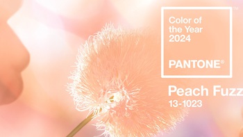 Pantone nghĩ gì khi chọn Peach Fuzz làm màu của năm?
