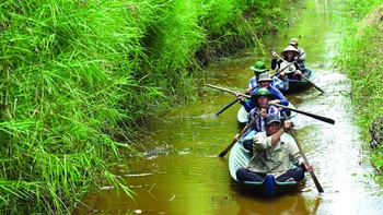 Những thợ rừng hiện đại ở rừng U Minh