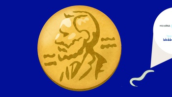Nobel Y sinh 2024: Phát kiến to từ những điều rất nhỏ