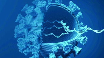 MicroRNA: Công cụ chiến thắng bệnh tật tiếp theo?