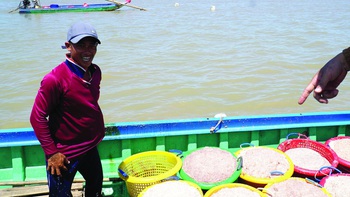 Mùa ruốc biển Tây