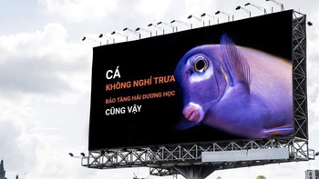 Ảnh vui 4-10: Cá không nghỉ trưa, bảo tàng Hải Dương Học cũng vậy