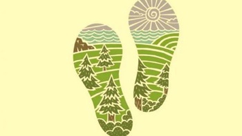 Quiz: Bạn có phải là người bốc đồng không?