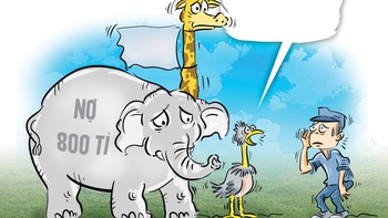 Các loài thú 'bán mình' trả nợ 800 tỉ cho Thảo cầm viên