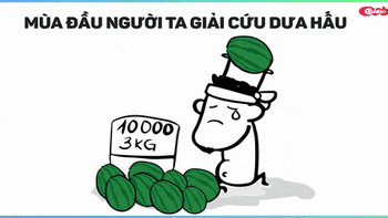 Những mùa giải cứu trong năm