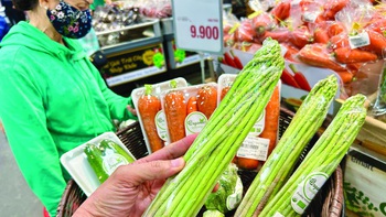 Lý lẽ của mùi - Từ khó ngửi tới dễ ngửi