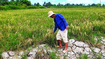 Khát nước cạnh những dòng sông
