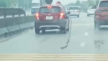 Ảnh vui 3-3: Đang đổ xăng tự dưng nhớ ra phải đi đón con