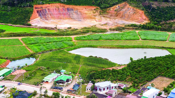 Lâm Đồng hết quỹ đất trồng rừng thay thế