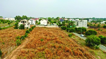 "Cào đáy" bất động sản