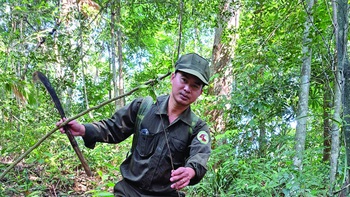 Bẫy thú giá rẻ giết muôn loài