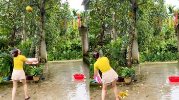 Pha hứng mít đi vào lòng đất