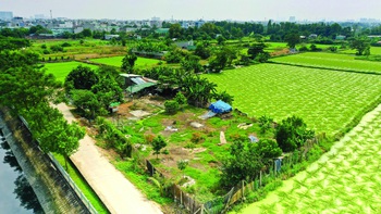 Cơ sở dữ liệu đất đai cần phần mềm "chính chủ"