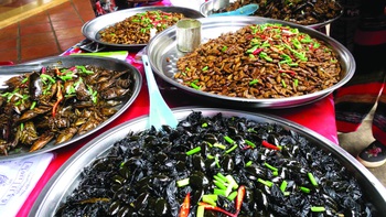 Món côn trùng, bếp núc ngày càng sáng tạo