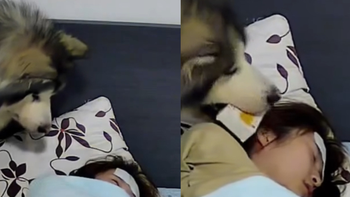 Chú chó chăm sóc cô chủ ốm