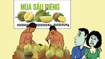 Vui buồn mùa sầu riêng