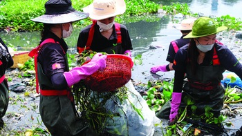 Những ông tây lượm rác ở Đà Nẵng