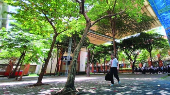 Trường có xanh, học mới tốt