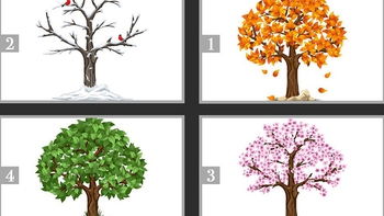 Quiz: Bạn là người kiên nhẫn hay thông thái, logic?