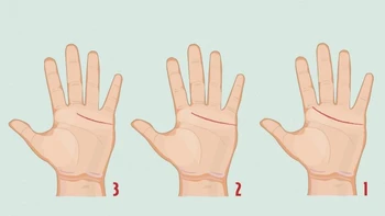 Quiz: Đường chỉ tay tiết lộ bạn hướng nội hay hướng ngoại?