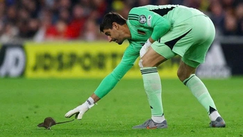 Trận vòng loại World Cup tạm dừng để thủ môn Courtois đuổi chuột