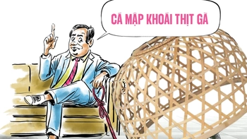 Cá mập khoái thịt gà