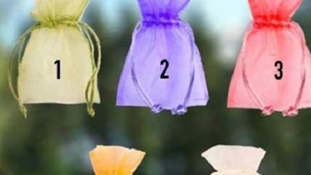 Quiz: Chiếc túi tiết lộ giấc mơ của bạn có thể thành hiện thực
