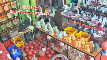 Bực hết cả bò với ông chủ cửa hàng mải bấm điện thoại, khách phải vào tận nhà gọi