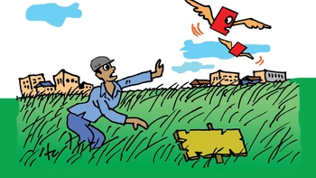Chờ đợi cả thập kỷ, cỏ lên xanh mà chưa có sổ đỏ