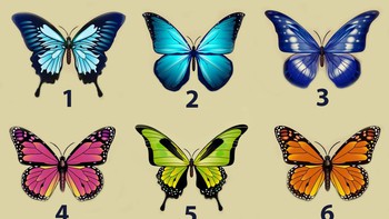 Quiz: Bạn năng động, lạc quan hay là người có tâm hồn sâu sắc?