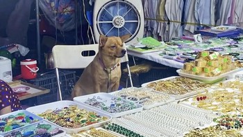 Ảnh vui 18-10: 'Mua vàng khuyến mãi 3 mũi 900 ngàn'
