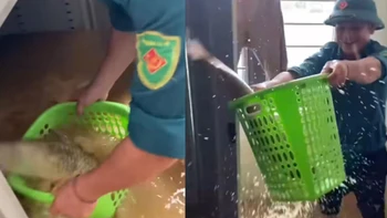 Bắt được cá trắm khủng trong tủ quần áo