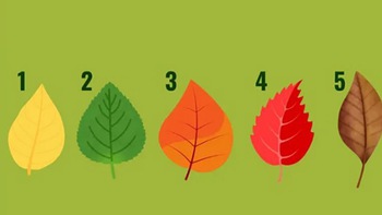 Quiz: Bạn có thể đạt được thành công ở lĩnh vực nào?