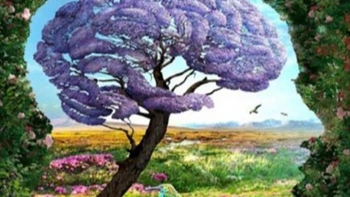 Quiz: Bạn luôn nỗ lực hướng tới sự hoàn hảo hay là người yêu tự do?
