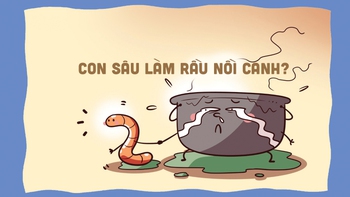 Bếp ăn bán trú xưa và nay: Con sâu làm rầu nồi canh?