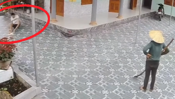 Mẹ chán chả buồn nói với cậu con trai hậu đậu