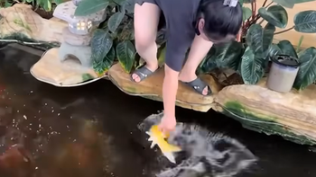 Chuyện gì cũng đến tay chị em